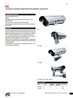 NXL - Videotec