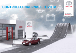 Leaflet controllo invernale
