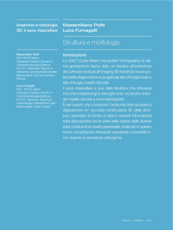 Anatomia e Radiologia 3D- il seno mascellare