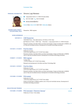 CV - Politecnico di Torino