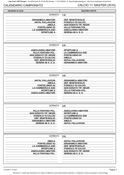 calcio 11: master (2015)