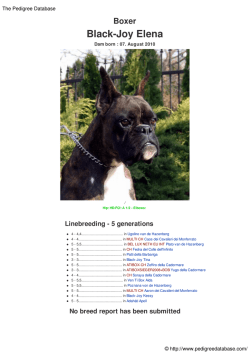 Pedigree for Black-Joy Elena