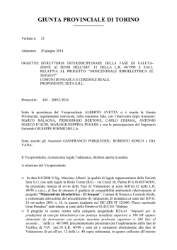 445-20652/2014 - Provincia di Torino