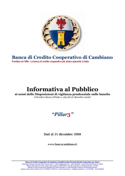 Informativa al pubblico – Pillar 3 – 2008