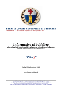 Informativa al pubblico &ndash; Pillar 3 &ndash; 2008