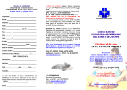 Direttore del Corso: DOTT. PATRIZIA KNAFELZ