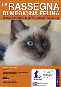 DI MEDICINA FELINA