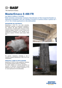 MasterEmaco S 498 FR