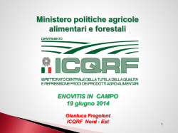 Gianluca Fregolent, Icqrf Conegliano