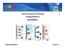 Lezione 13 - DiSTABiF