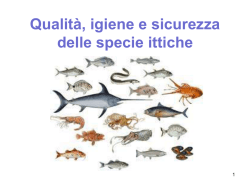 Molluschi - Unitretirano