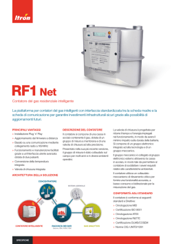 RF1 Net - Itron