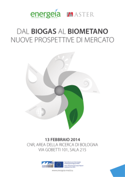 dal biogas al biometano nuove prospettive di mercato