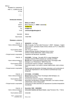 Curriculum Vitae Europeo