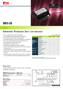 foglio PDF - LAE Electronic Srl