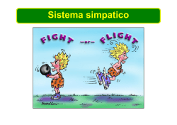 Sistema simpatico - Facolt&agrave; di Medicina e Chirurgia
