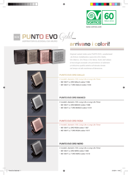 Depliant_Punto_Evo_Gold