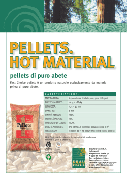 Flyer First Choice Pellets Italiano