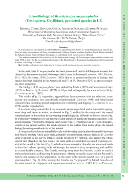 Eco-ethology of Brachytrupes megacephalus