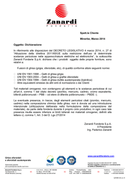 Dichiarazione RoHS - Zanardi Fonderie