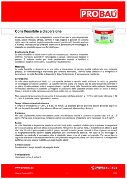 Colla flessibile a dispersione