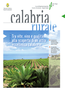 CalabriaRurale n.3