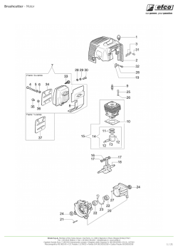 Brushcutter - Motor