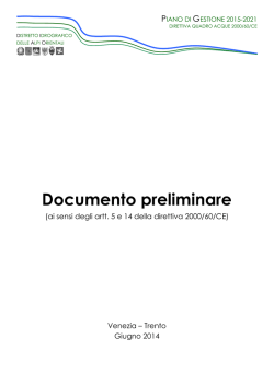 Documento preliminare (ai sensi degli artt. 5 e 14