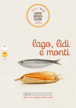 LOVERE BOSSICO CASTRO