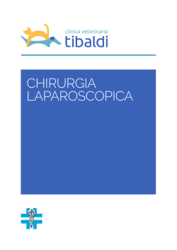 CHIRURGIA LAPAROSCOPICA - Clinica Veterinaria Tibaldi