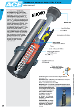 Deceleratori Industriali da SC4525 a SC4550 - rti