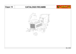 Cippo 15 TAV. 1