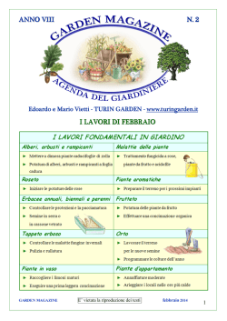 ANNO VIII N. 2 I LAVORI DI FEBBRAIO