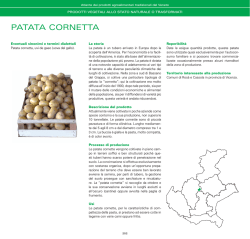PATATA CORNETTA - Veneto Agricoltura