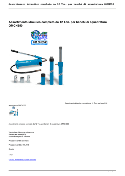 Assortimento idraulico completo da 12 Ton. per