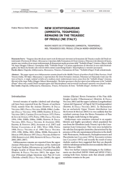 (amniota, ?diapsida) remains in the triassic of friuli