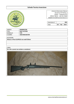 Scheda Tecnica Inserzione