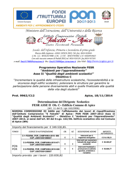 DETERMINA A CONTRARRE COMMISSIONE GARA