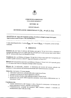 COMUNE DI AGRIGENTO wvw,comyjrie.agrigento.jt. SETTORE HI