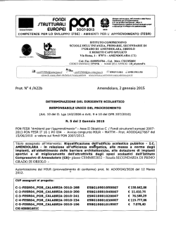 determina_del_ds_bando_lavori