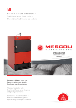 ML caldaie a legna