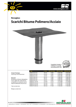 Scarica il PDF