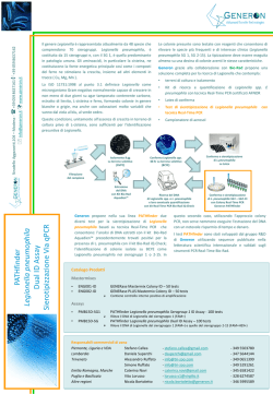 Circolare n. 29