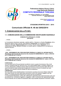 documento fip