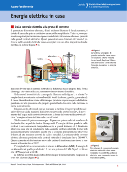 La meraviglia della vita