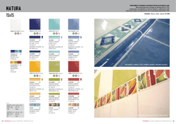 Il libro del wireless