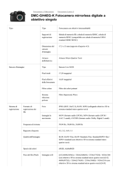 La prospettiva relazionale in psicoanalisi. Storia, teoria e clinica
