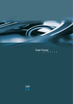 Gapi Group