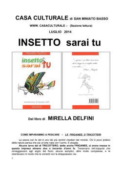 INSETTO SARAI TU - Luglio 2014 - Casa Culturale San Miniato Basso