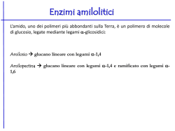 Lezione (8) XVII-2 08.05.14 Amilasi